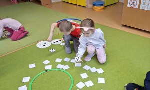 Sówki: Luty 2026 - Zdjęcie 234