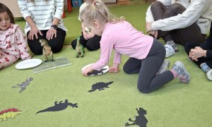 Sówki: Luty 2026 - Zdjęcie 236