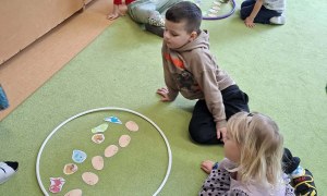 Sówki: Luty 2026 - Zdjęcie 251