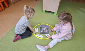 Sówki: Luty 2026 - Zdjęcie 258