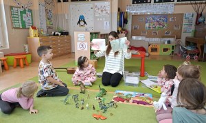 Sówki: Luty 2026 - Zdjęcie 270