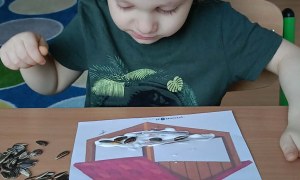 Jeżyki: Luty 2026 - Zdjęcie 24