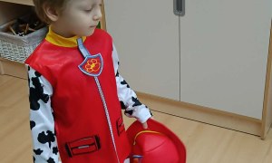 Jeżyki: Luty 2026 - Zdjęcie 23