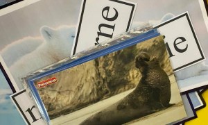 Misie: Luty 2026 - Zdjęcie 61