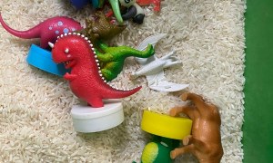 Dzień Dinozaura 2026 - Zdjęcie 101
