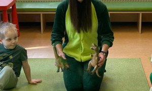 Dzień Dinozaura 2026 - Zdjęcie 119