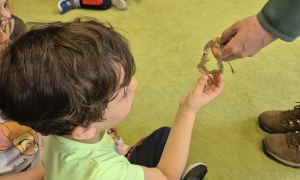 Warsztaty EKOPARK- perła Śląska - podróż do bioróżnorodności - Zdjęcie 8
