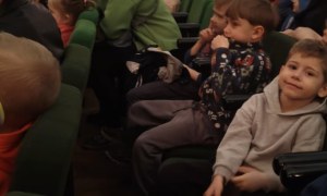 Spektakl Teatralny 