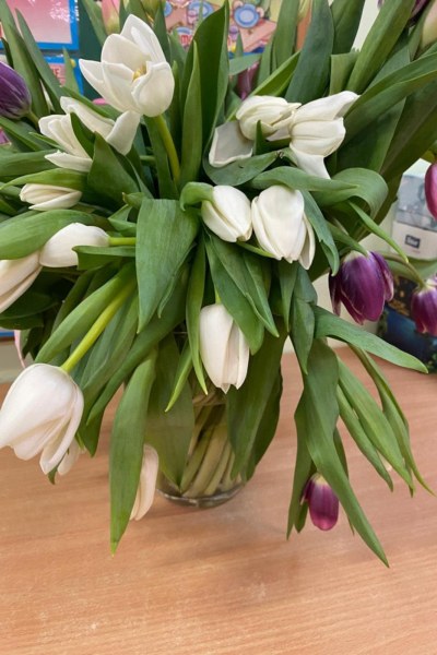 Spotkania z okazji DNIA KOBIET