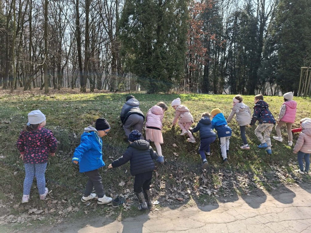 Sówki: Marzec 2026 - Zdjęcie 136