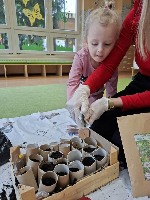 Sówki: Marzec 2026 - Zdjęcie 167