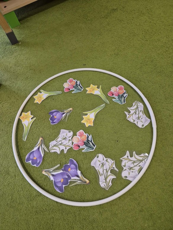 Sówki: Marzec 2026 - Zdjęcie 169