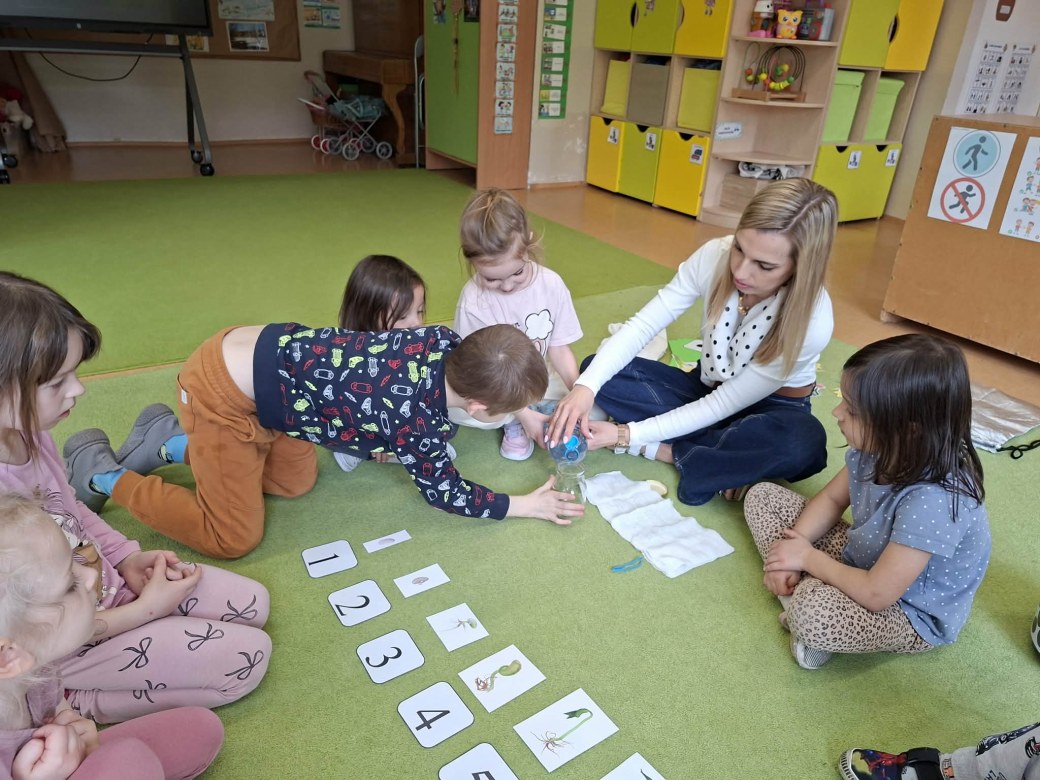 Sówki: Marzec 2026 - Zdjęcie 189