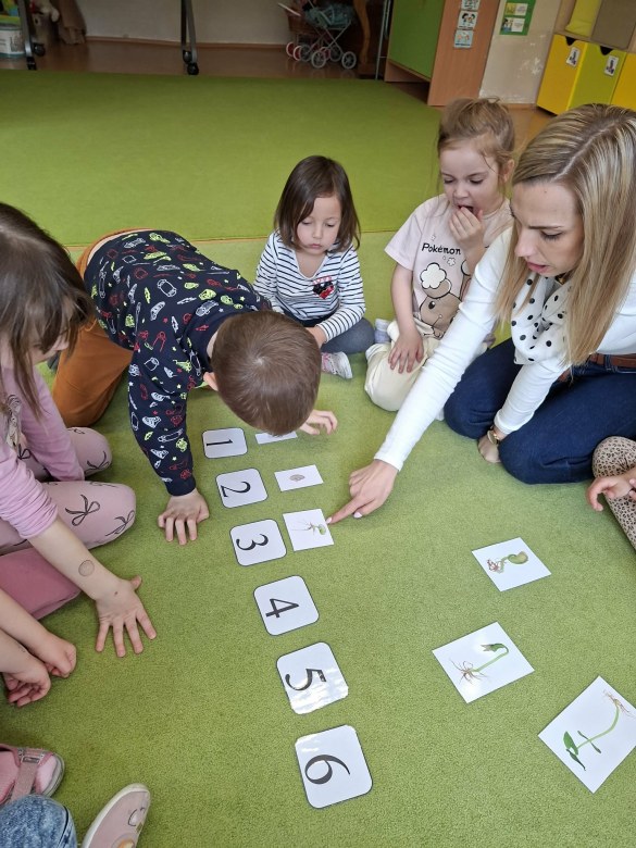 Sówki: Marzec 2026 - Zdjęcie 198