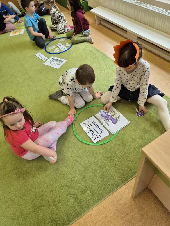 Sówki: Marzec 2026 - Zdjęcie 203