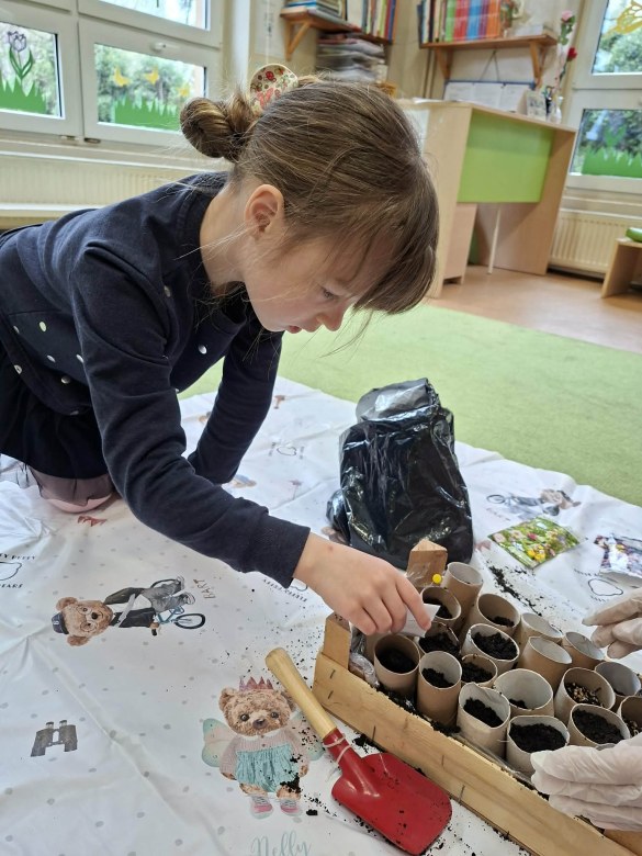 Sówki: Marzec 2026 - Zdjęcie 207