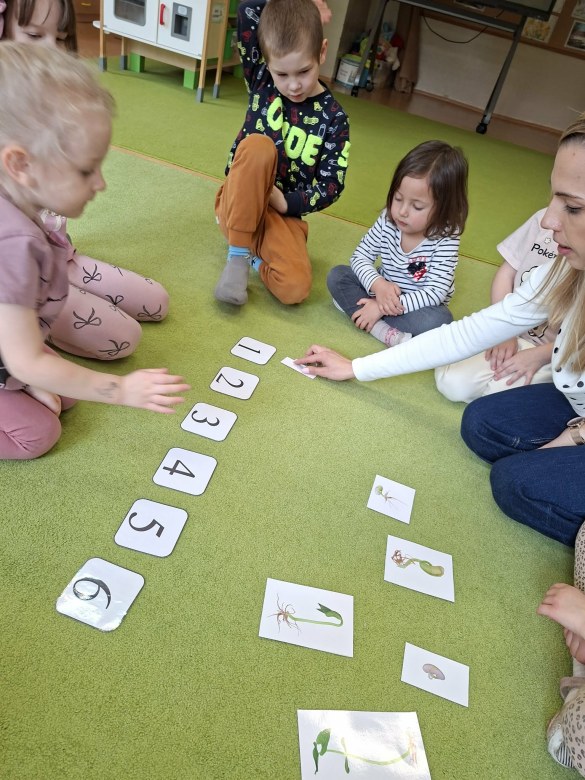 Sówki: Marzec 2026 - Zdjęcie 208