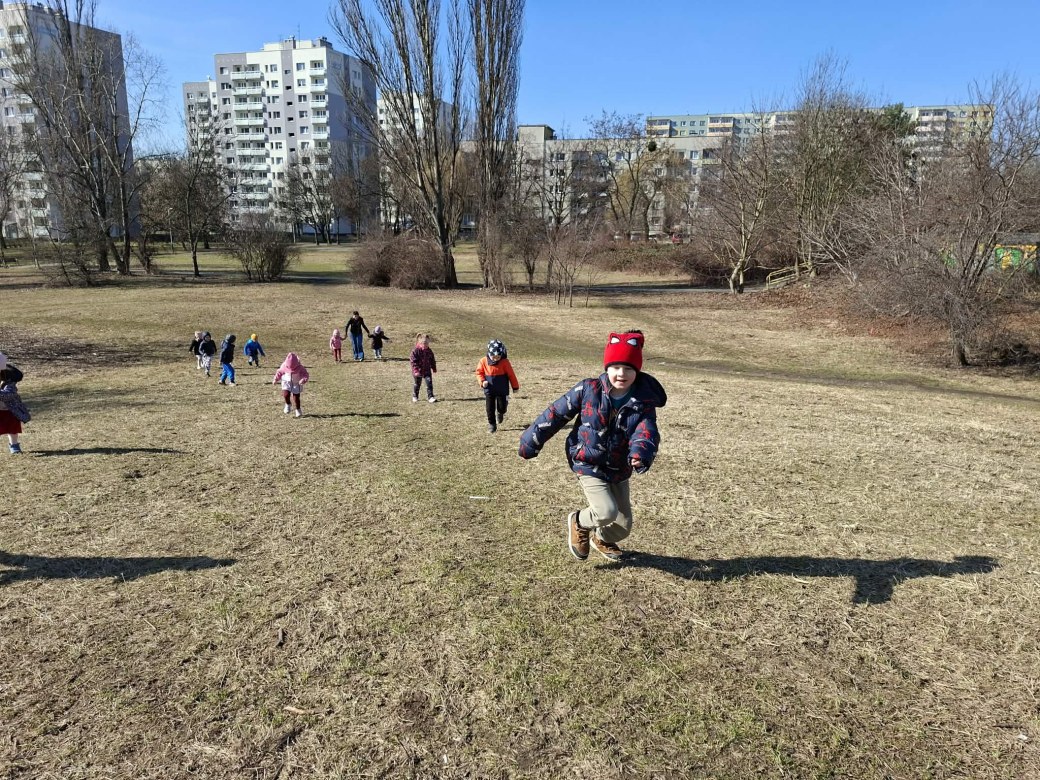 Sówki: Marzec 2026 - Zdjęcie 15