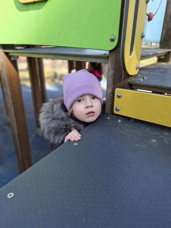 Sówki: Marzec 2026 - Zdjęcie 45