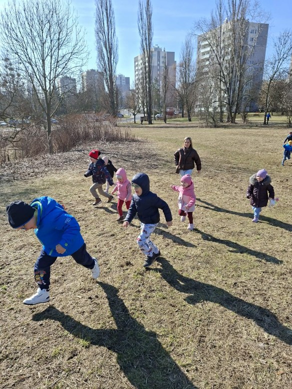 Sówki: Marzec 2026 - Zdjęcie 81