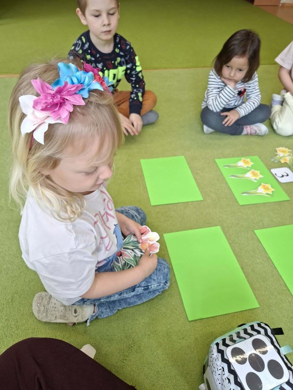 Sówki: Marzec 2026 - Zdjęcie 84