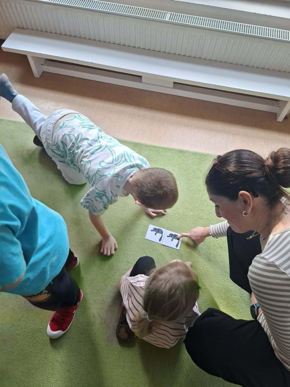 Sówki: Marzec 2026 - Zdjęcie 124