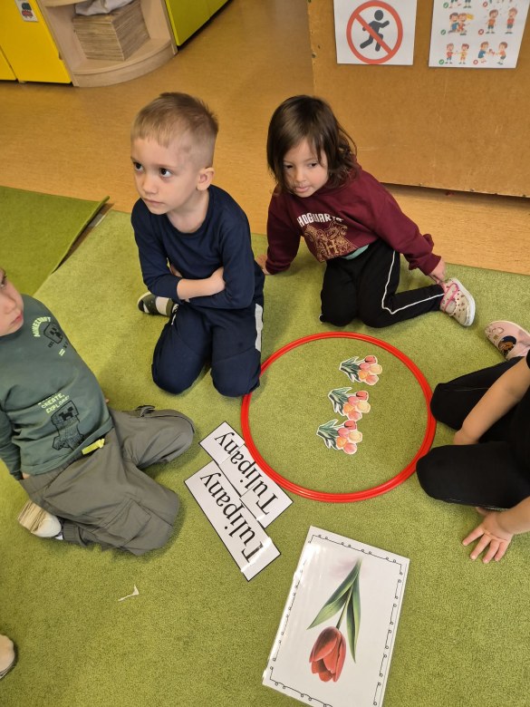 Sówki: Marzec 2026 - Zdjęcie 32