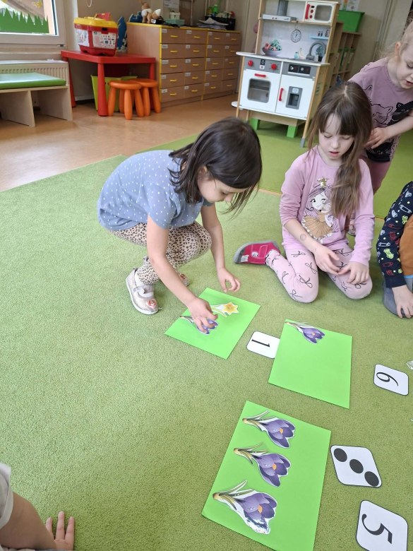 Sówki: Marzec 2026 - Zdjęcie 39