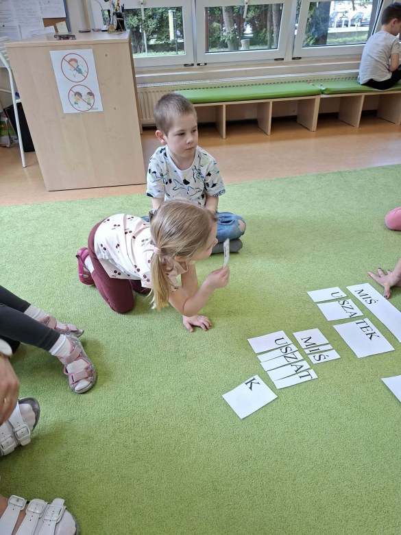 Sówki: Marzec 2026 - Zdjęcie 44