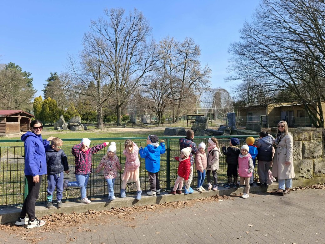 Sówki: Marzec 2026 - Zdjęcie 47