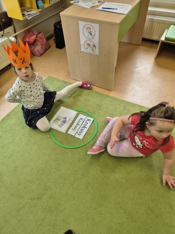 Sówki: Marzec 2026 - Zdjęcie 66