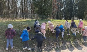 Sówki: Marzec 2026 - Zdjęcie 136