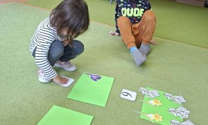 Sówki: Marzec 2026 - Zdjęcie 151