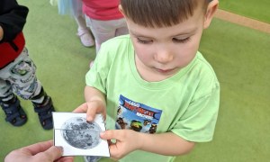 Sówki: Marzec 2026 - Zdjęcie 152