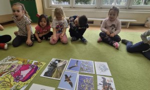 Sówki: Marzec 2026 - Zdjęcie 156