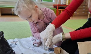 Sówki: Marzec 2026 - Zdjęcie 185