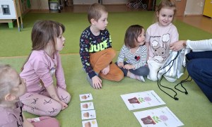 Sówki: Marzec 2026 - Zdjęcie 190