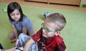 Sówki: Marzec 2026 - Zdjęcie 195