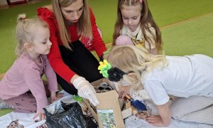 Sówki: Marzec 2026 - Zdjęcie 196