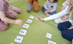 Sówki: Marzec 2026 - Zdjęcie 208