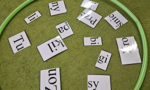 Sówki: Marzec 2026 - Zdjęcie 13