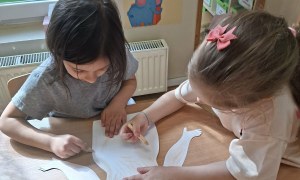 Sówki: Marzec 2026 - Zdjęcie 12