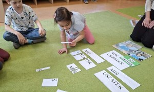 Sówki: Marzec 2026 - Zdjęcie 20