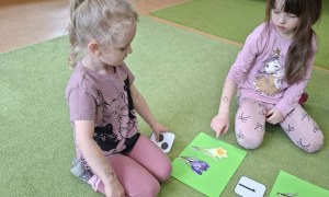 Sówki: Marzec 2026 - Zdjęcie 22