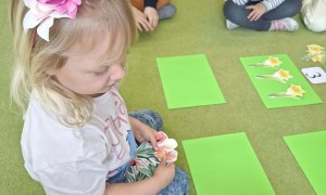 Sówki: Marzec 2026 - Zdjęcie 84