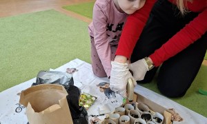 Sówki: Marzec 2026 - Zdjęcie 91