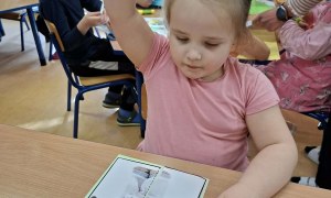 Sówki: Marzec 2026 - Zdjęcie 111