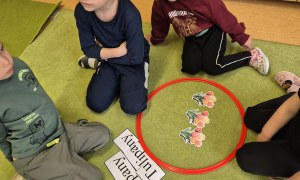 Sówki: Marzec 2026 - Zdjęcie 32