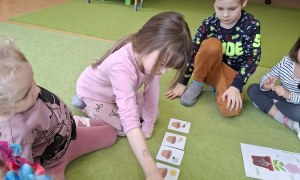 Sówki: Marzec 2026 - Zdjęcie 37