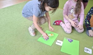 Sówki: Marzec 2026 - Zdjęcie 39